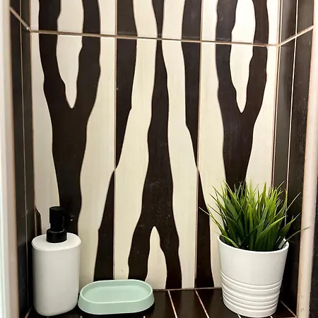 Urban Jungle Old Town Air Conditioned