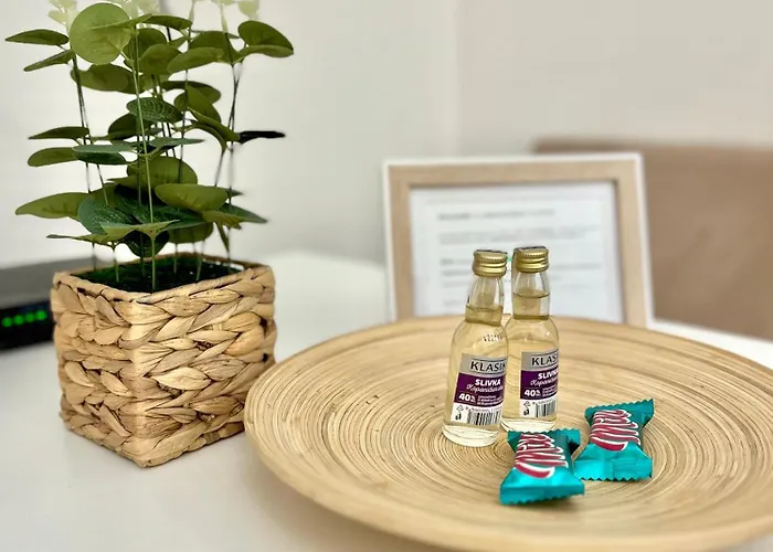 Urban Jungle Old Town Air Conditioned Apartment Bratislava